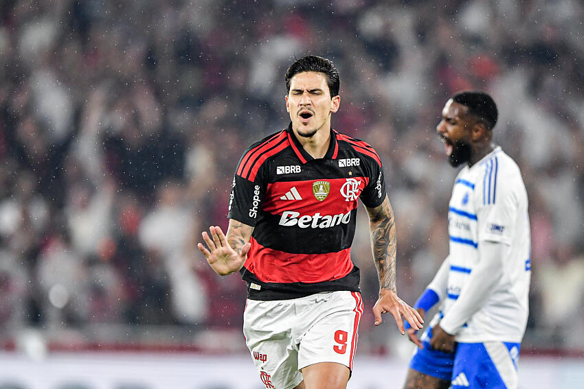Botafogo x Flamengo: Palpites e Odds – Brasileirão 14/03