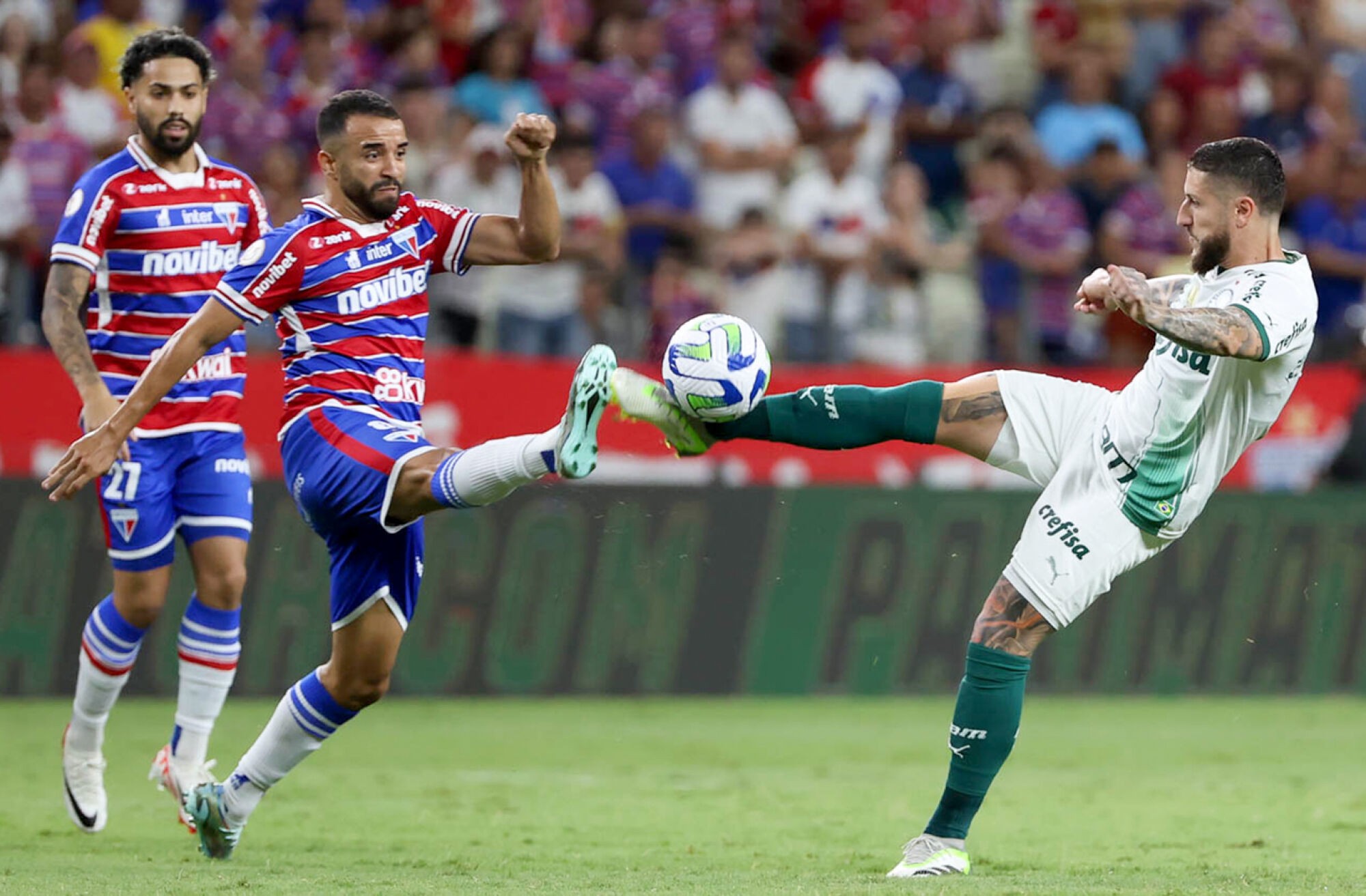 Palmeiras x América-MG: onde assistir, escalações e palpites – 29/11/2023